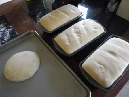 Sourdough breadmaking - Page 2 - Food, Drink & Restaurants - PistonHeads