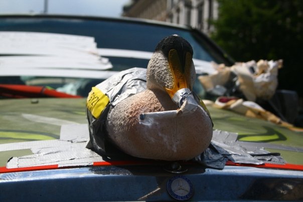 A bird is sitting on the back of a boat - Pistonheads