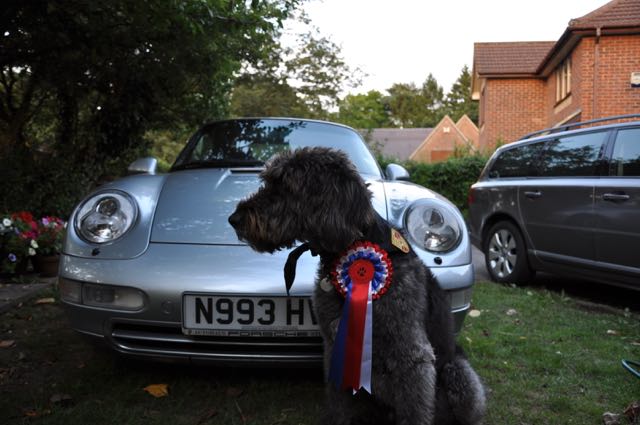 Will a Labrador fit in the rear of a 997? - Page 2 - Porsche General - PistonHeads