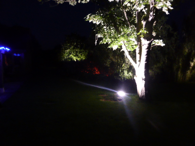 Garden lights. Spotlights into trees. Suggestions? - Page 1 - Homes, Gardens and DIY - PistonHeads