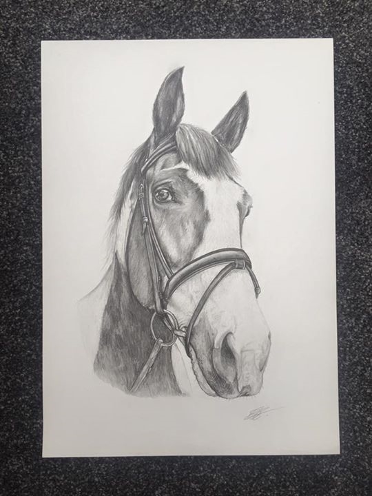 Where would you look to get a painting of your pet or horse? - Page 2 - All Creatures Great & Small - PistonHeads