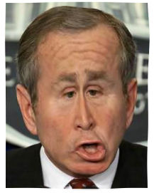 Funny Face Bush
