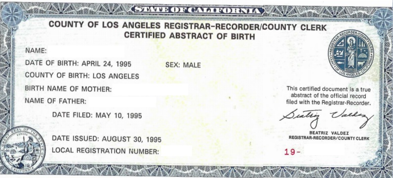 Abstract Registrar California Birth