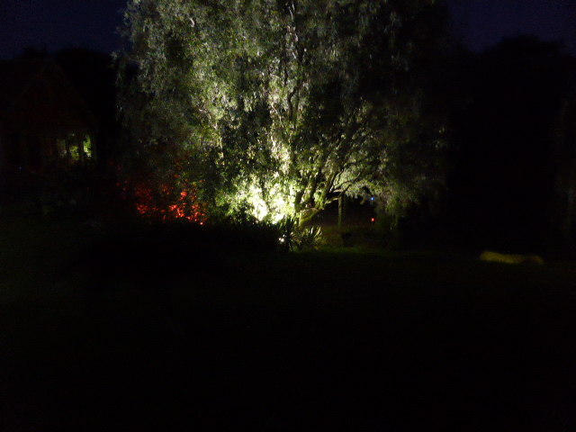 Garden lights. Spotlights into trees. Suggestions? - Page 1 - Homes, Gardens and DIY - PistonHeads