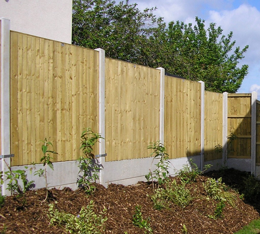 My fence vs neighbour's hedge - Page 3 - Homes, Gardens and DIY - PistonHeads