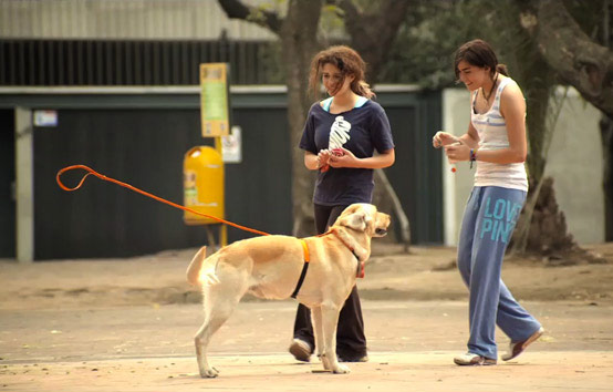 A woman walking a dog on a leash - Pistonheads