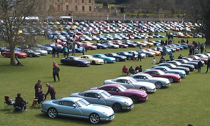 A large group of sheep in a field - Pistonheads