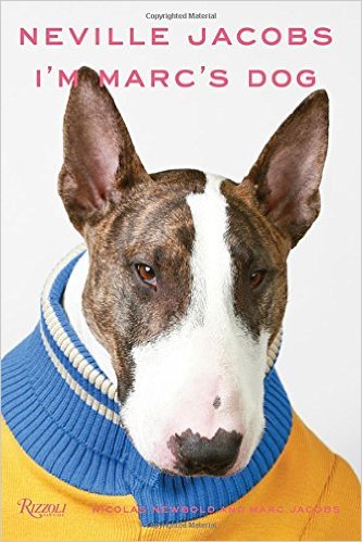 English Bull Terrier - Page 15 - All Creatures Great & Small - PistonHeads