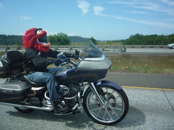A man riding on the back of a motorcycle - Pistonheads