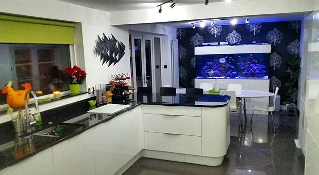 PH Marine Fish Tank Thread - Page 3 - All Creatures Great & Small - PistonHeads