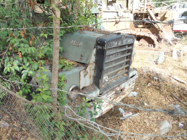 Pics of abandoned /rotting large vehicles - Page 4 - Commercial Break - PistonHeads