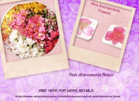 A table topped with different types of food - Bouquets Pink Flowers Bicolor Flower Whitepink Alstroemeria