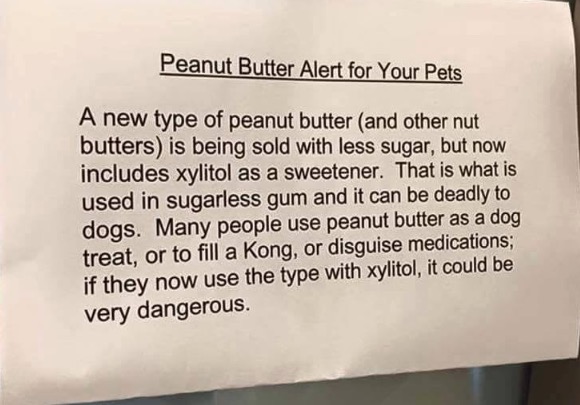 Peanut butter warning heads up.  - Page 1 - All Creatures Great & Small - PistonHeads
