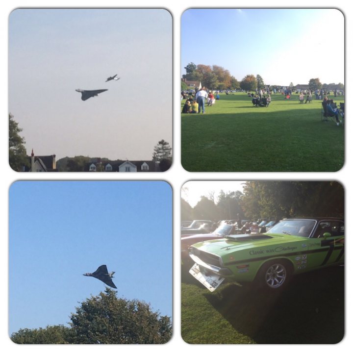 A flock of birds flying over a lush green field - Pistonheads