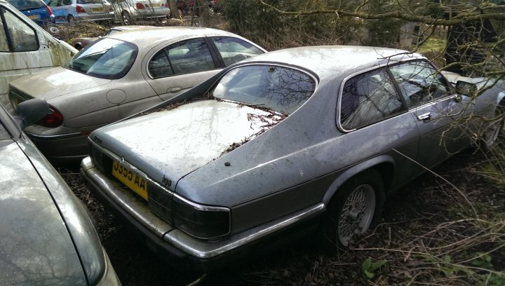 Classics left to die/rotting pics - Page 436 - Classic Cars and Yesterday's Heroes - PistonHeads
