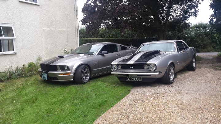 Show us your Mustangs - Page 30 - Mustangs - PistonHeads