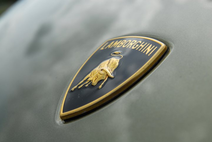 Lambo Badge