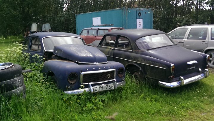 Classics left to die/rotting pics - Page 459 - Classic Cars and Yesterday's Heroes - PistonHeads