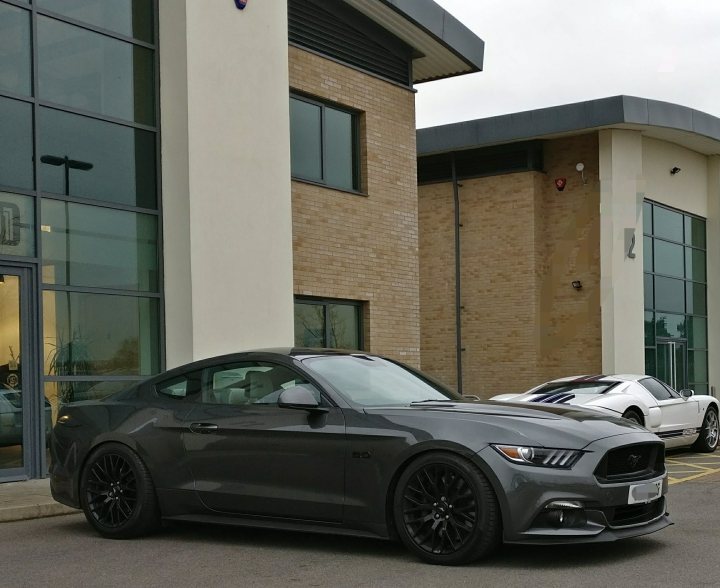 Pedders suspension fitted, what a transformation!  - Page 1 - Mustangs - PistonHeads