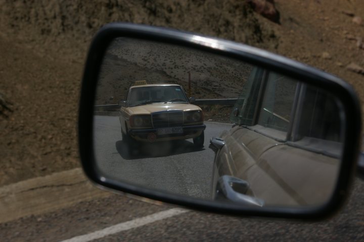 A reflection of a dog in the side mirror of a car - Pistonheads