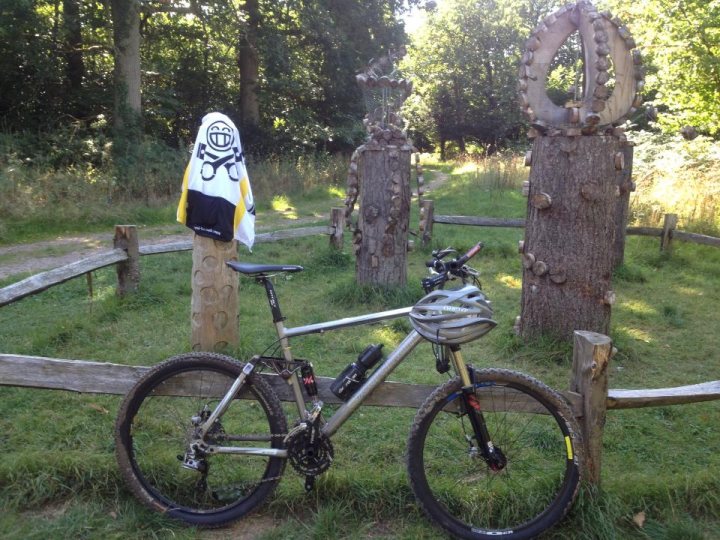 A bike parked next to a tree in a forest - Pistonheads