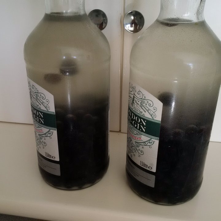 Advice for making Sloe gin, first attempt ever... - Page 2 - Food, Drink & Restaurants - PistonHeads