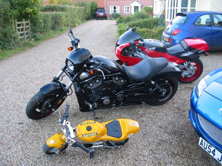 Viper Harley Owners Pistonheads