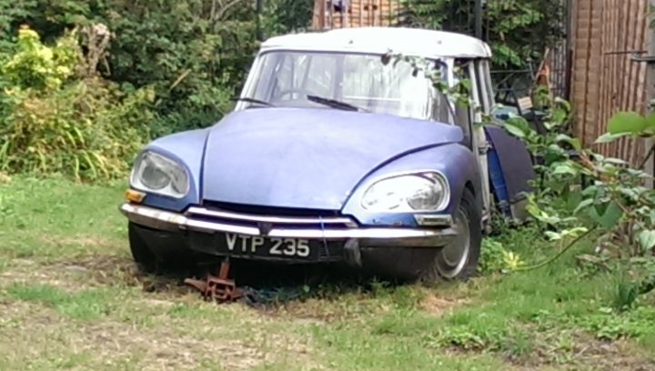 Classics left to die/rotting pics - Page 462 - Classic Cars and Yesterday's Heroes - PistonHeads
