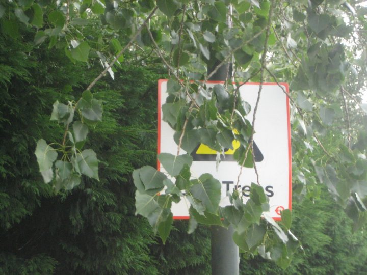 A street sign with a tree in the background - Pistonheads