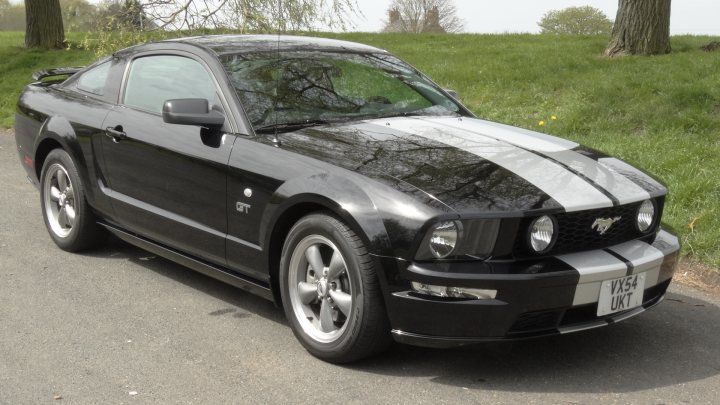 Show us your Mustangs - Page 25 - Mustangs - PistonHeads