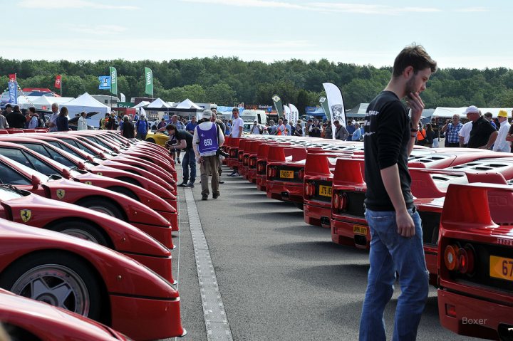 RE: Pic of the week: a feast of F40s - Page 1 - General Gassing - PistonHeads