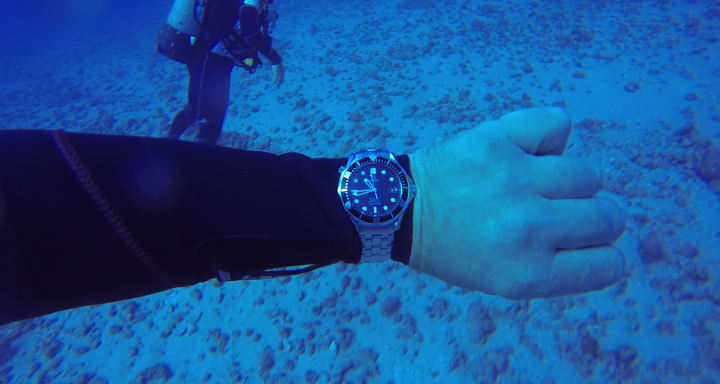 Does anyone go diving with their divers' watch? - Page 2 - Watches - PistonHeads
