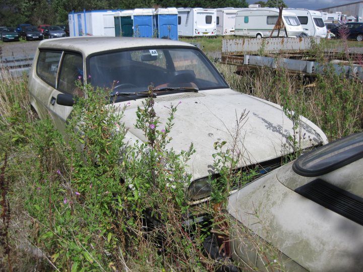 Classics left to die/rotting pics - Page 391 - Classic Cars and Yesterday's Heroes - PistonHeads
