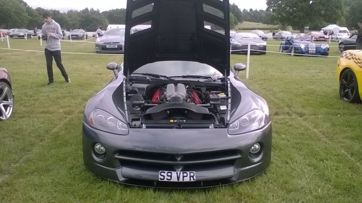 Vipers at Beaulieu - Page 1 - Vipers - PistonHeads