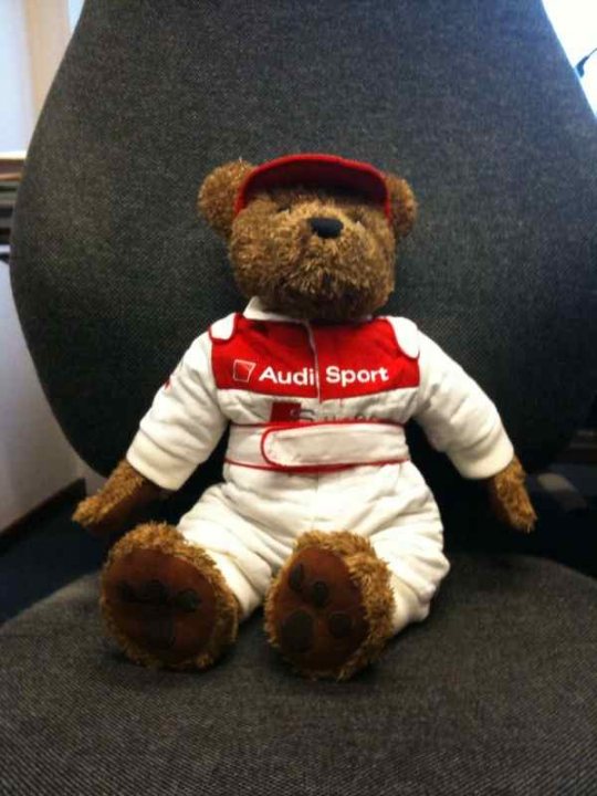 where to buy massive teddy bears in London? - Page 4 - The Lounge - PistonHeads