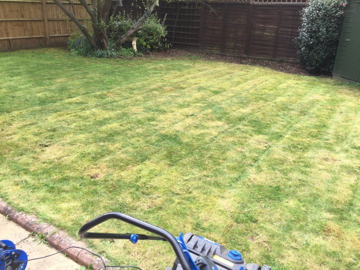 2016 Lawn thread - Page 58 - Homes, Gardens and DIY - PistonHeads