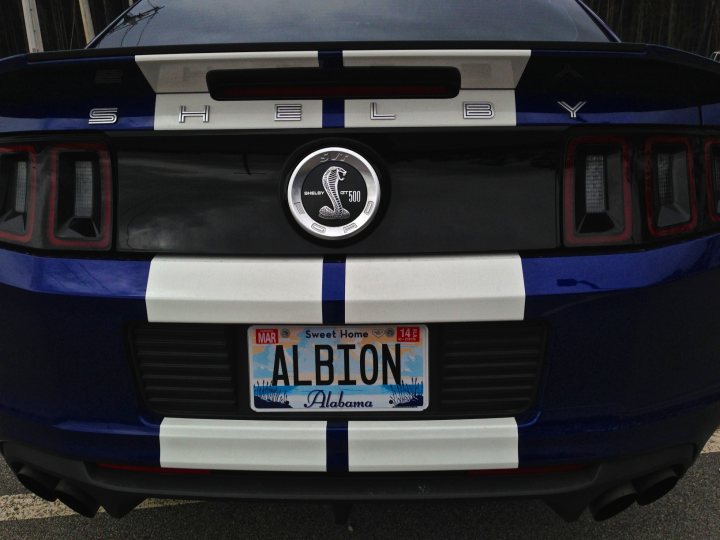 Show us your Mustangs - Page 25 - Mustangs - PistonHeads