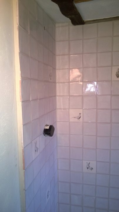 Shower and wonky tiles - Page 1 - Homes, Gardens and DIY - PistonHeads