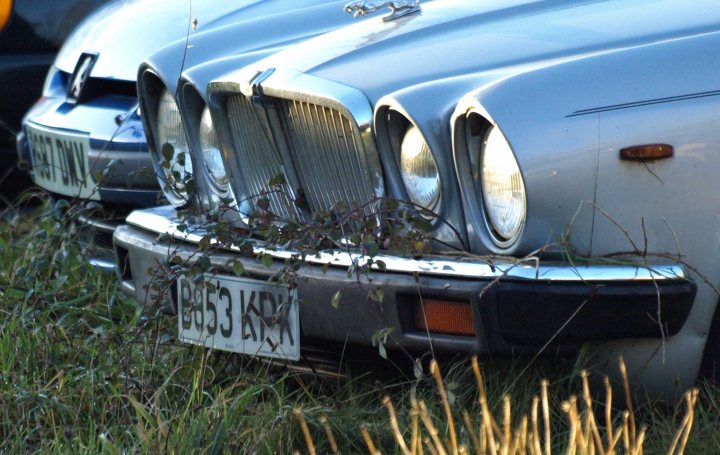Classics left to die/rotting pics - Page 421 - Classic Cars and Yesterday's Heroes - PistonHeads