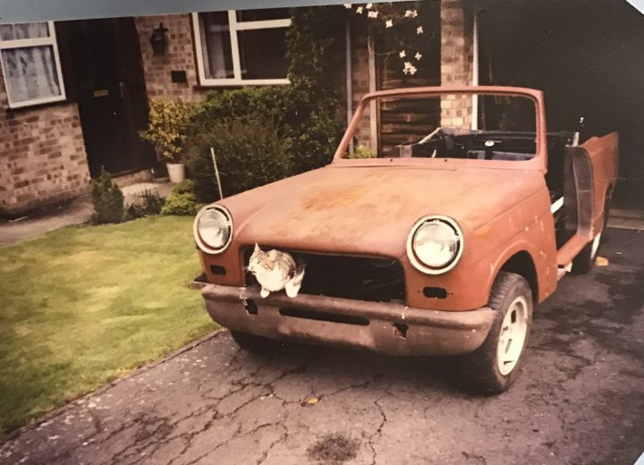 It's Caturday- Post some cats (vol 3) - Page 81 - All Creatures Great & Small - PistonHeads