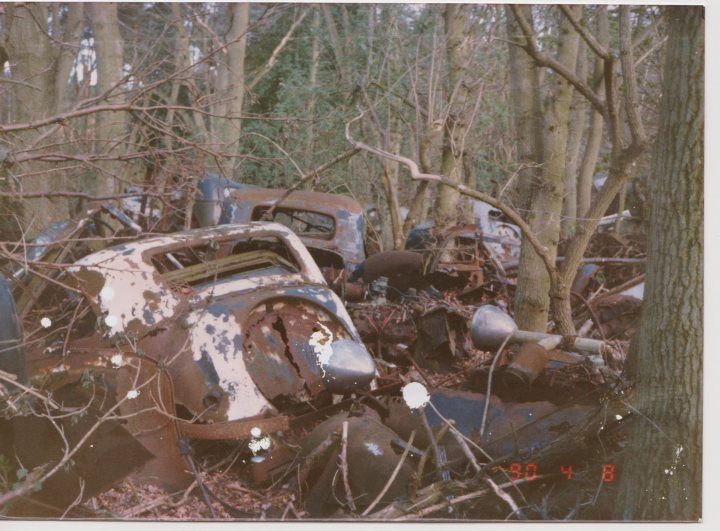 Classics left to die/rotting pics - Page 442 - Classic Cars and Yesterday's Heroes - PistonHeads