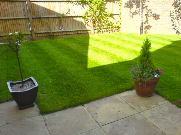 Lawn Care Thread - Page 1 - Homes, Gardens and DIY - PistonHeads