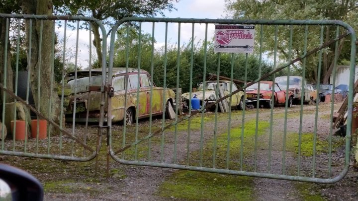 Classics left to die/rotting pics - Page 474 - Classic Cars and Yesterday's Heroes - PistonHeads