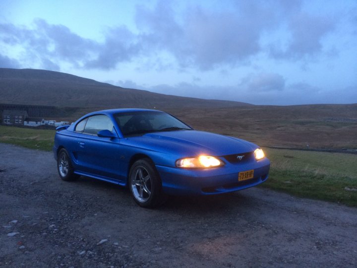 Show us your Mustangs - Page 31 - Mustangs - PistonHeads