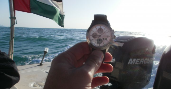 Your watch in its natural environment - Page 1 - Watches - PistonHeads