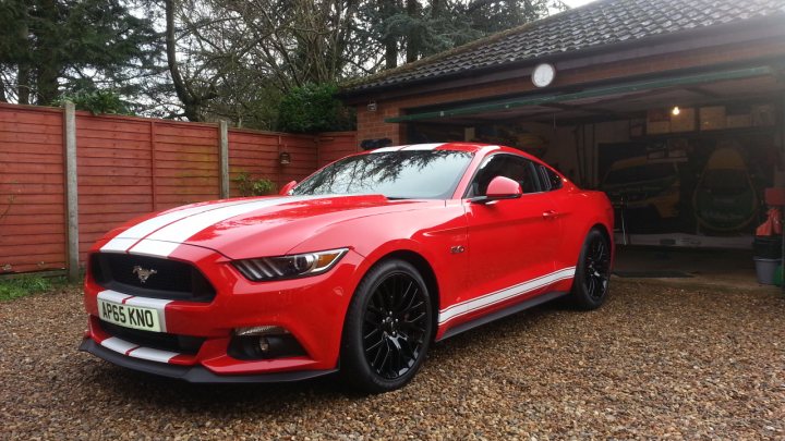 Who has the rarest 2015 Mustang? (a rare Ford?) - Page 1 - Mustangs - PistonHeads