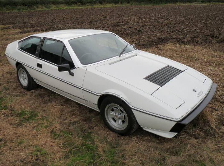 Lotus Eclat - 40th anniversary - Page 3 - Classic Cars and Yesterday's Heroes - PistonHeads