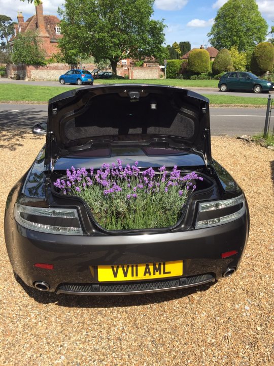 Even Vantage roadsters are practical.... - Page 1 - Aston Martin - PistonHeads