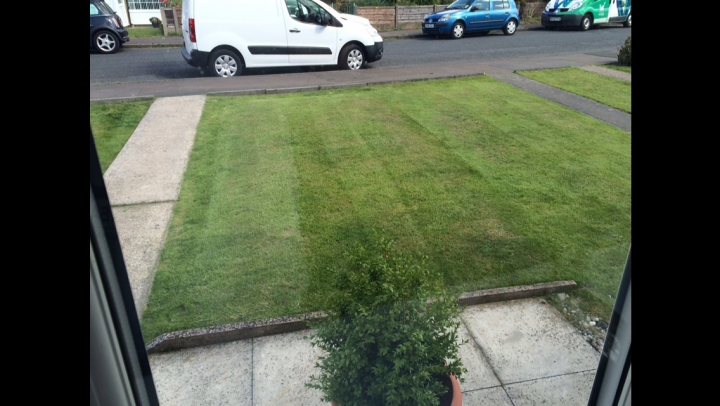 2015 Lawn thread - Page 42 - Homes, Gardens and DIY - PistonHeads