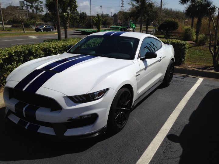 Anyone hoping to import a 2016 GT350 to the UK? - Page 6 - Mustangs - PistonHeads
